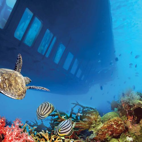 Semi-Submarino en Hurghada